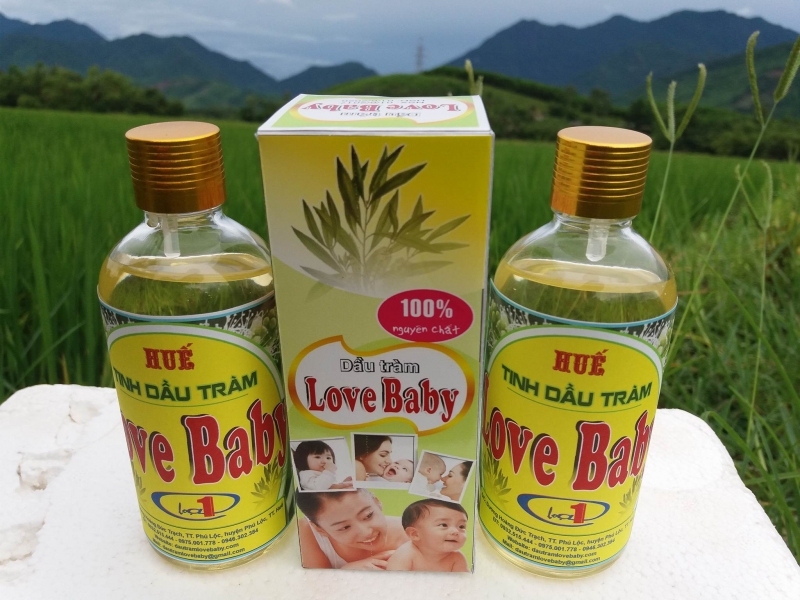 Cận cảnh nghề làm dầu tràm Huế